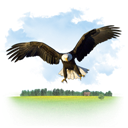Animals -  Eagle icon